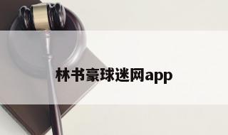 林书豪球迷网app 林书豪黄兴广场直播